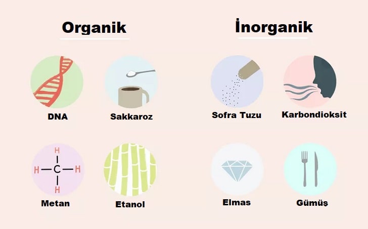 Organik ve İnorganik Maddeler Arasındaki Farklar