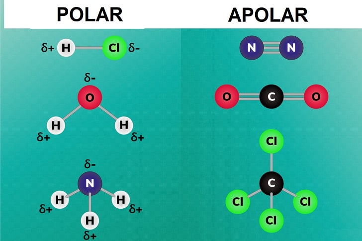 Polar ve Apolar Molekül Örnekleri