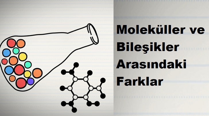Moleküller ve Bileşikler Arasındaki Farklar Nelerdir?
